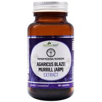 Neogenesis Agaricus Blazei